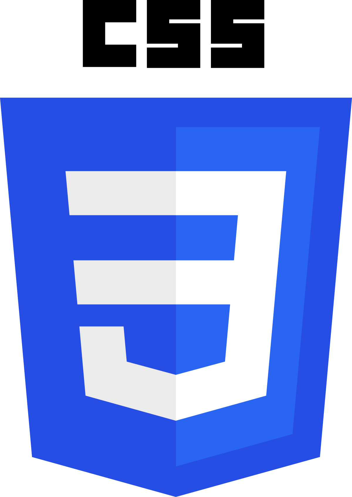 Logo do CSS